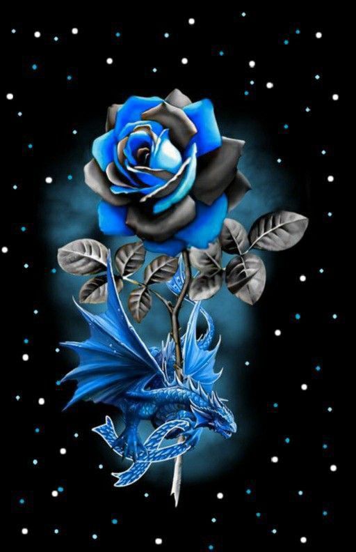 1486461569bd6cc0b77705fc2968a043