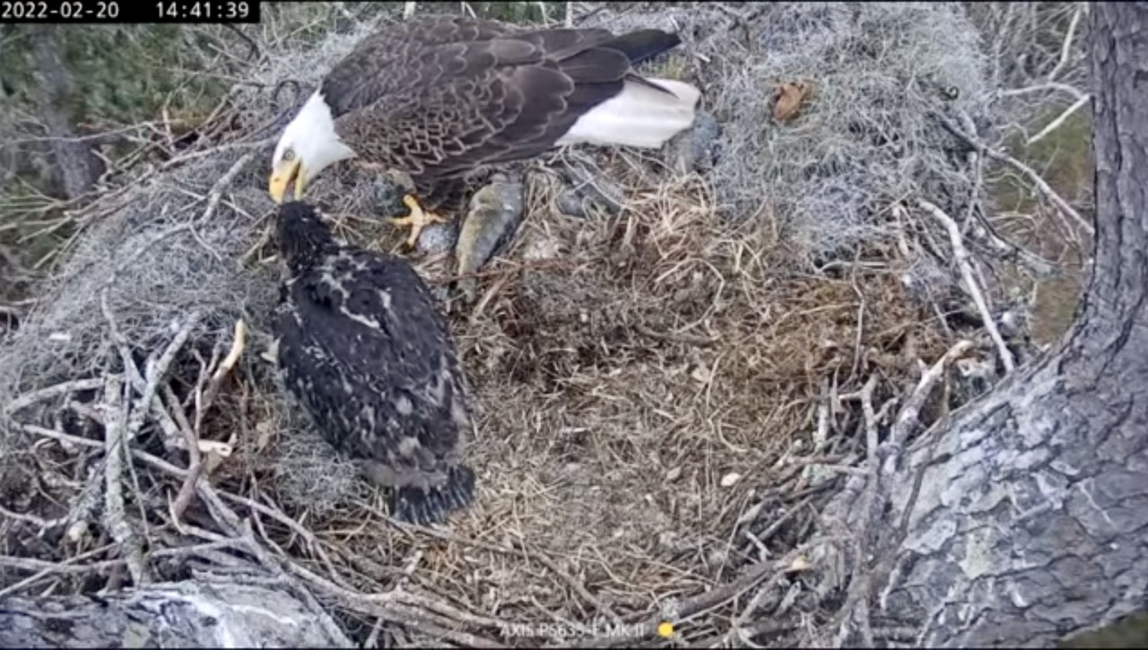 EA0BC7EC-517F-440E-91C8-918B8DC65216