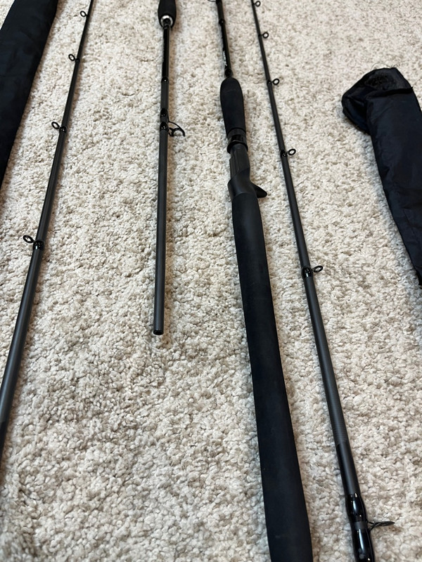 image-31-01-24-07-37-15