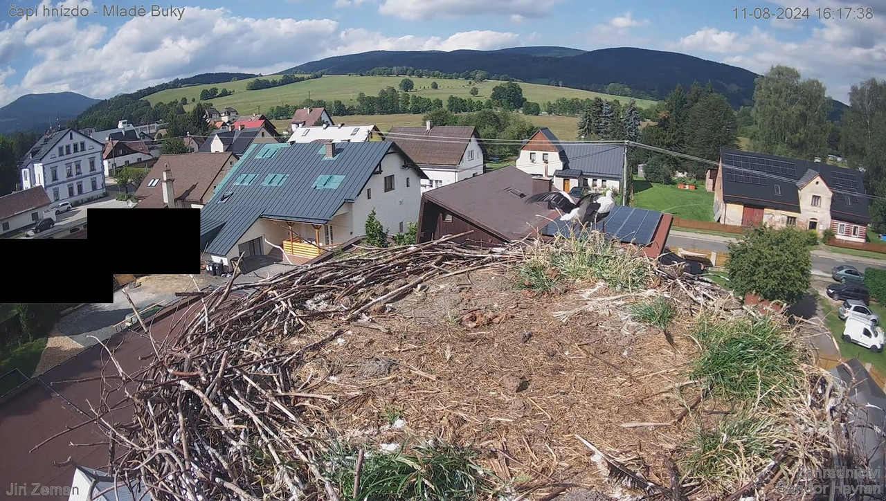 Tiešraides kamera — Mladé Buky — stārķa ligzda 9-54-45 screenshot (1)
