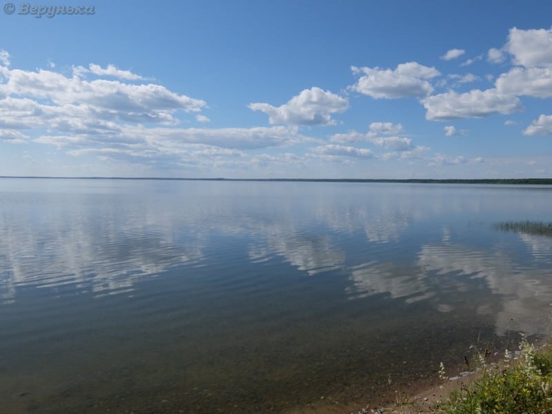 DSCF8795