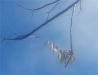 [Image: 45421902-1934495676619825-7.jpg]