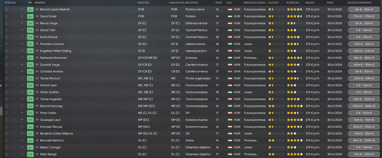 MTK-Zolt-n-8-plantilla-juvenil.png