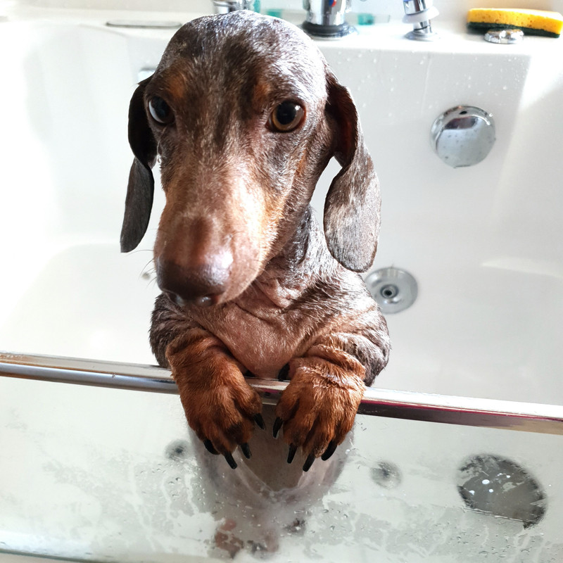 [Image: 20210921-113725.jpg]