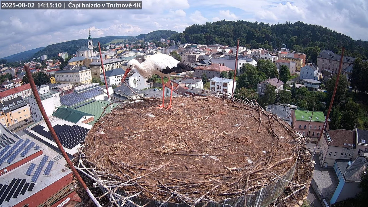 Tiešraide no stārķa ligzdas uz alus darītavas skursteņa Trutnovā 9-25-42 screenshot