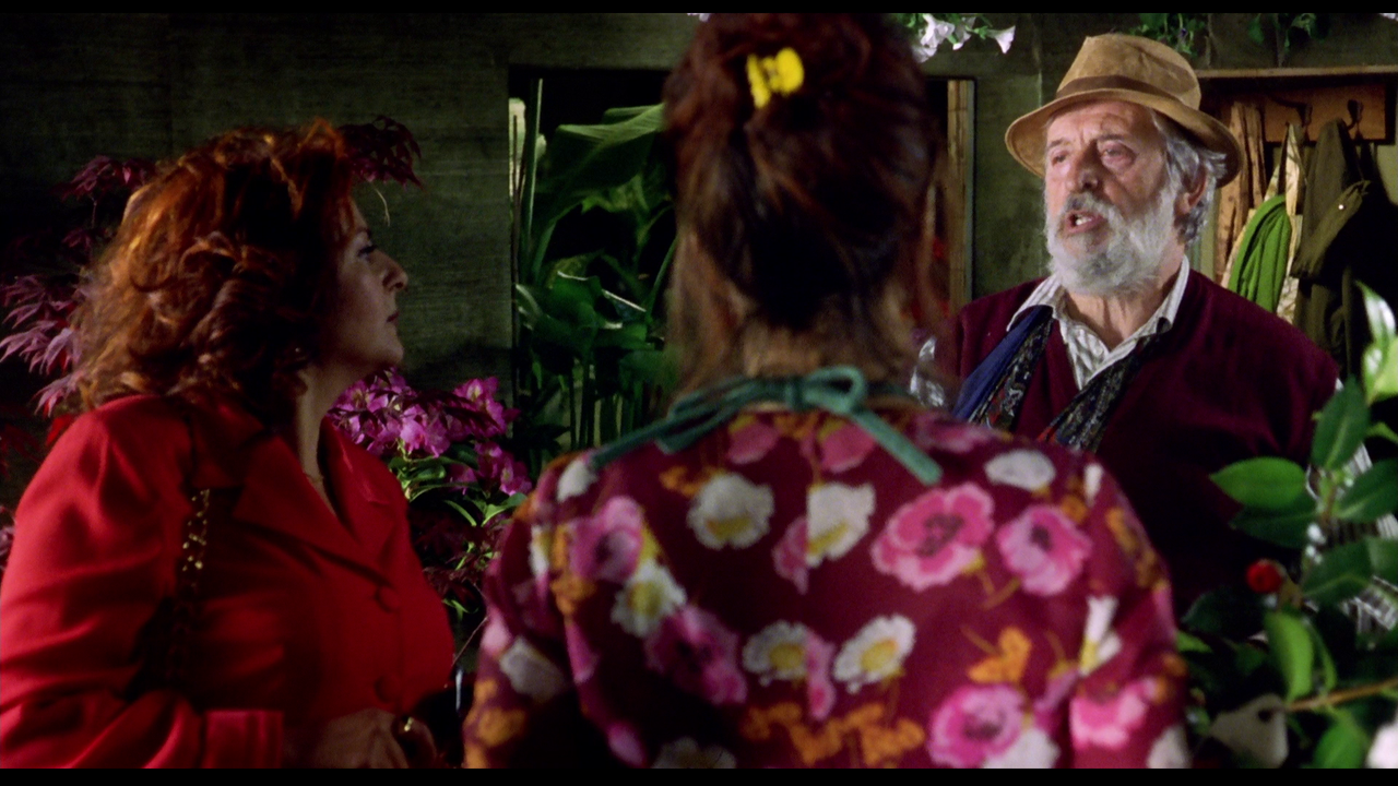 vlcsnap-2023-06-29-19h58m14s159