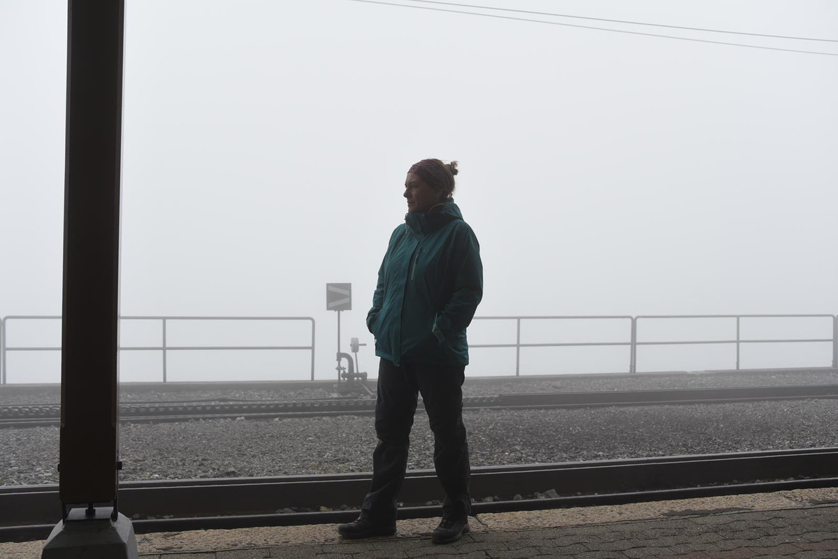 Huyendo del COVID a los Alpes (2020) - Blogs of Switzerland - De casa a Grindelwald (Zona de Interlaken) (40)