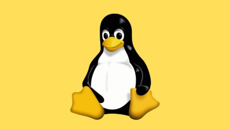 Master Linux Administration [2020] ( Full Course )