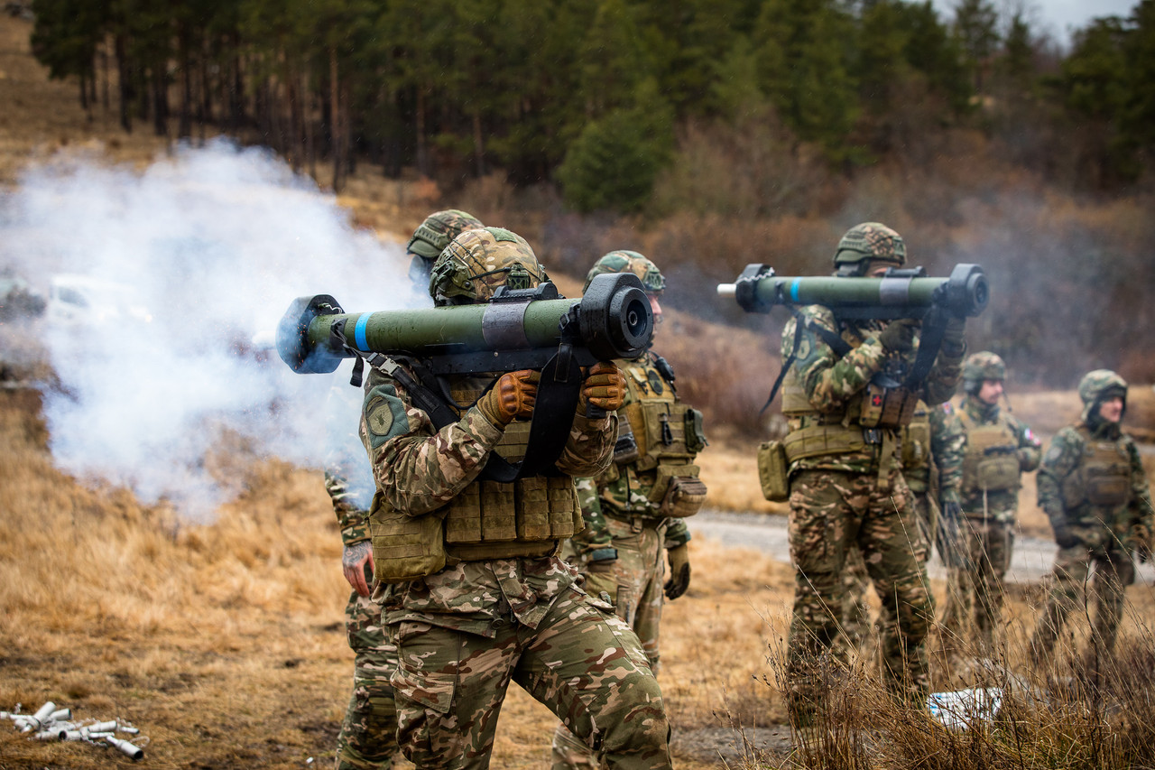 44728 flf oddelki 5d 20260219 1599 fstrgar