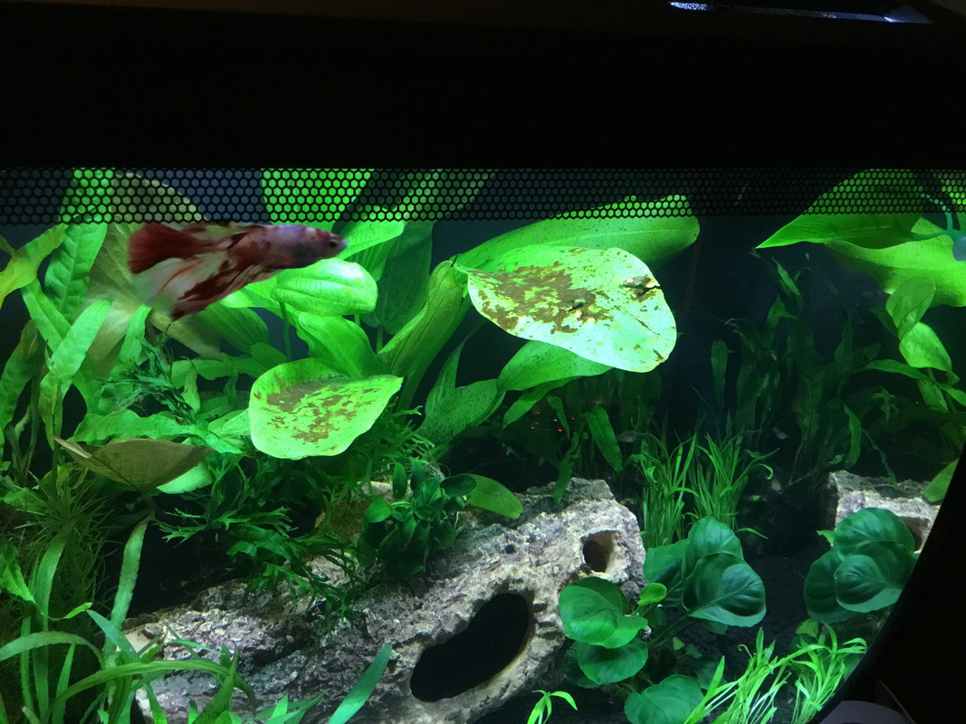 027B629C-2B05-4E4A-A010-09495B1B2AD5