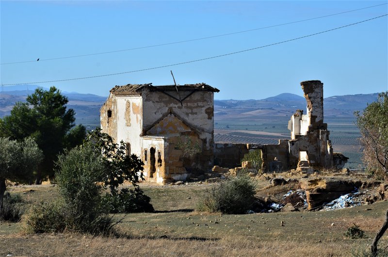 Sevilla y sus pueblos-2012/2021 - Blogs de España - EL COTO LAS CANTERAS-15-10-2021-OSUNA (53)