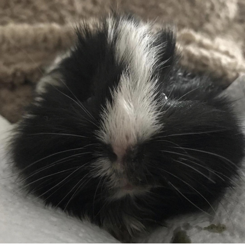 C8DA4400-067A-4CC2-94CD-838D5C7AE814