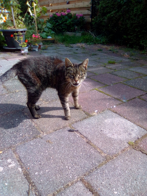 муся когда только пришла (5)