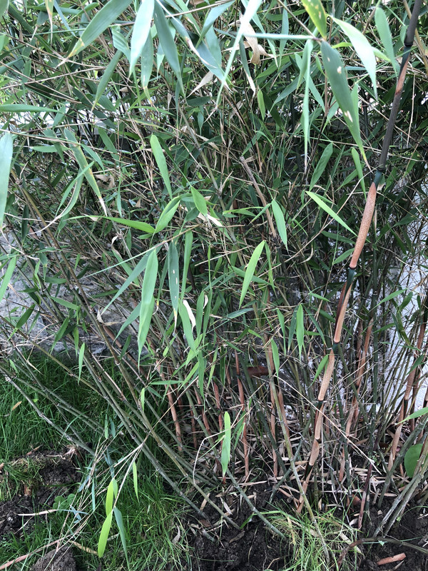 B274FAEE-17D0-463F-8132-8D8914726632