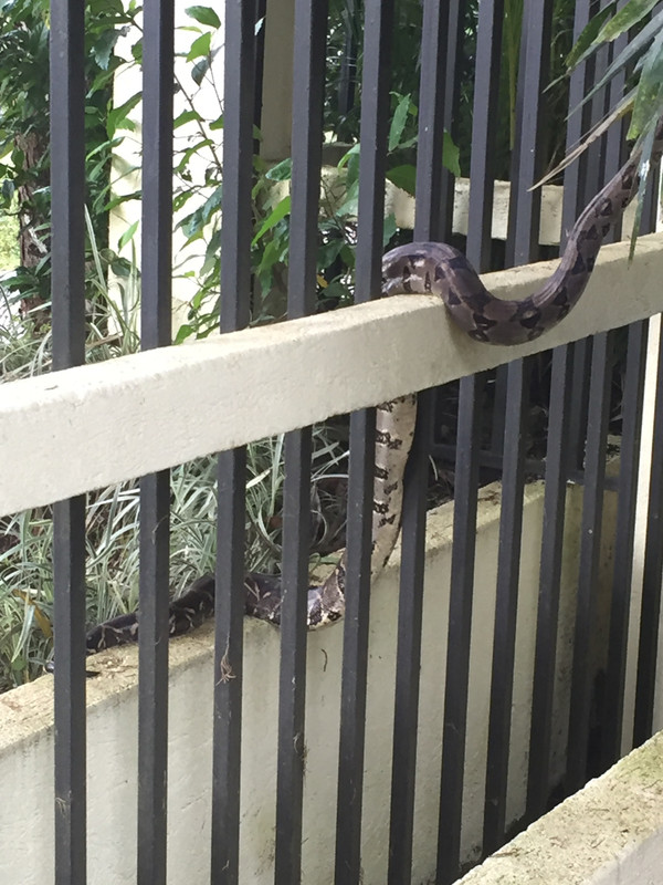 1C5CCF4F-A488-4FC6-A11A-A3F98F5949A1