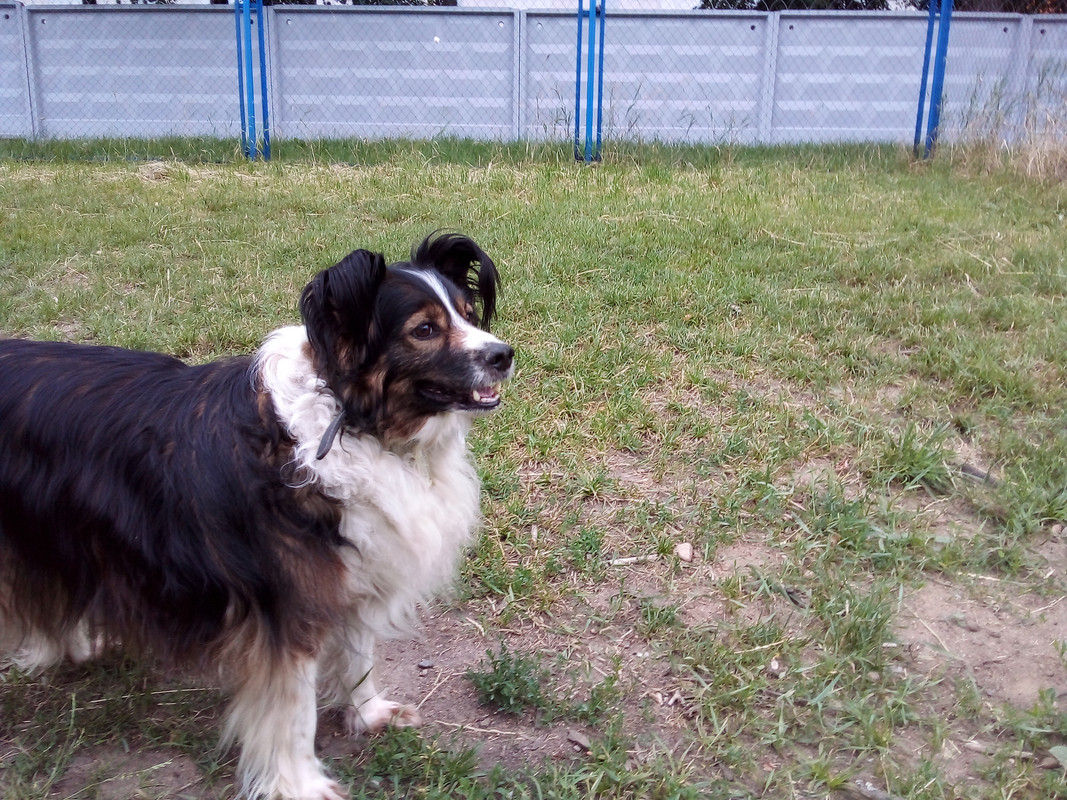 Атос 4 июля 21 2