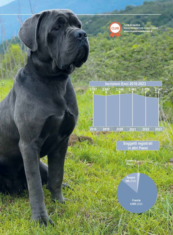 Il M C Set-Ott 2024 (10)