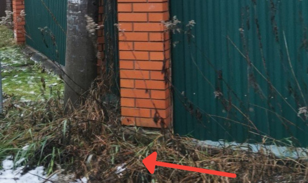 Screenshot 20251217 164945 ch blinkenlights android vanilla edit 62431596804534