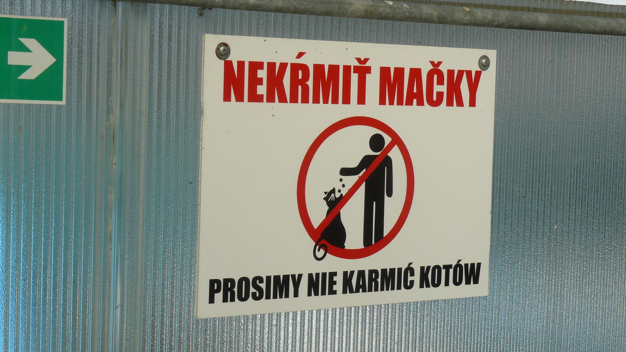 [Obrazek: P1090674.jpg]