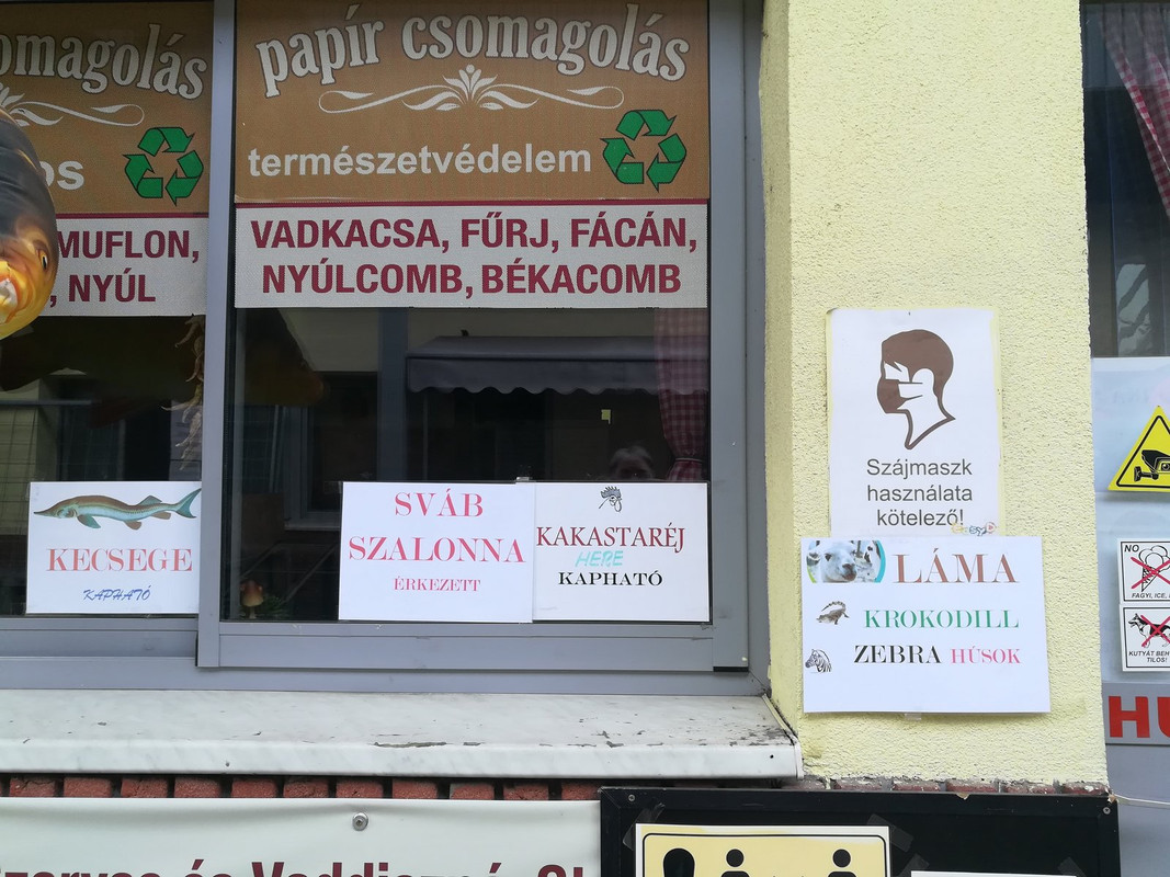 Kép