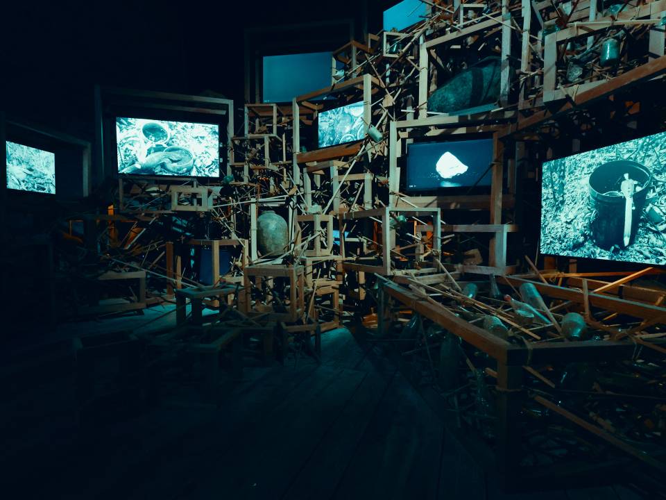 Seeing Forest via Robert Zhao