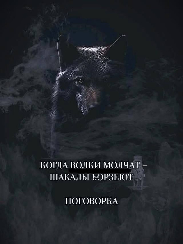 [Изображение: ad7a020c917dea3a37e36e22ae8f2b3c.jpg]