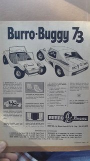 burro-73