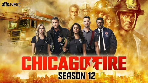 Chicago Fire (2024) (Sezon 12) PLSUBBED.1080p.WEB-DL.XviD.AC3-R22 / Napisy PL
