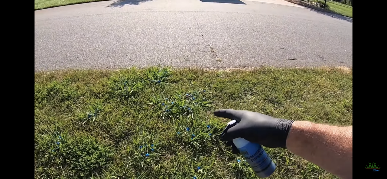 47947382-57F4-4691-B946-B65F08057D47