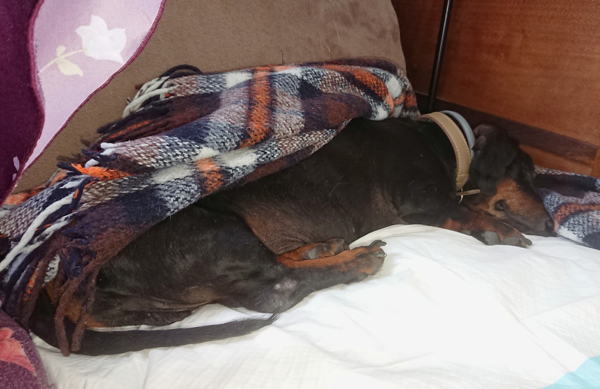 [Image: 20220528-155714.jpg]