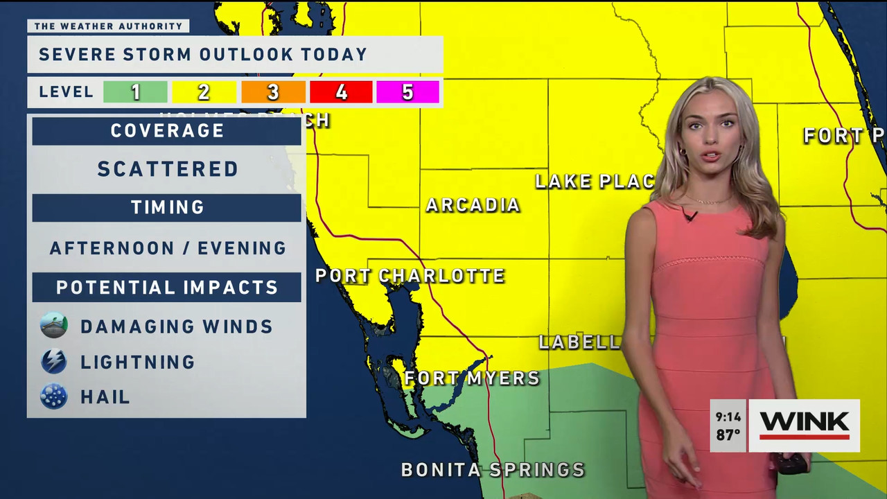 06.17 - 14.00.00 - WINK News at 9 00AM. Morning news..ts_snapshot_14.04.107