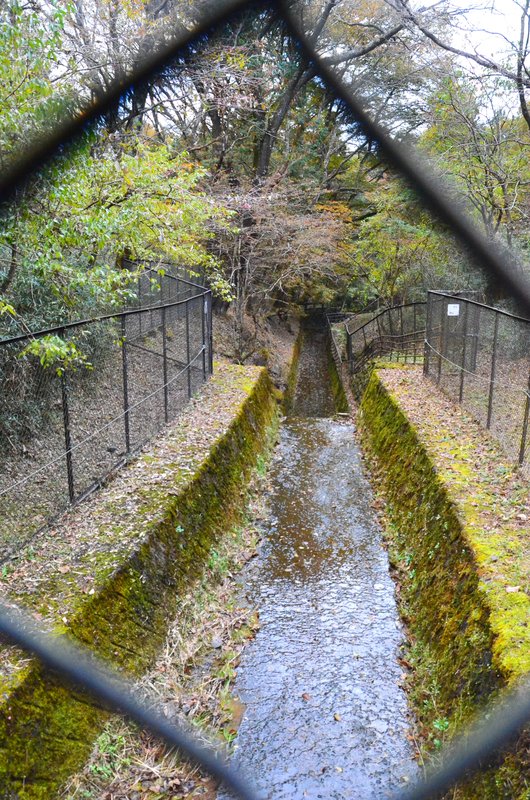 Abismo Kanmangafuchi-13-11-2024 - Japón y sus Pueblos-2024 (42)