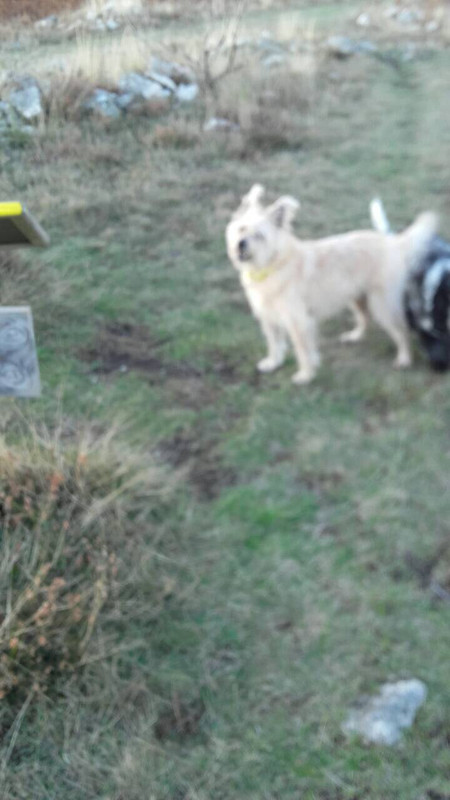 58AB33B4-83BD-4DAC-804A-B99B0037FE28