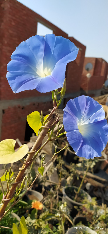 IMG_٢٠١٩١٢٠٧_١١٢٢١٨