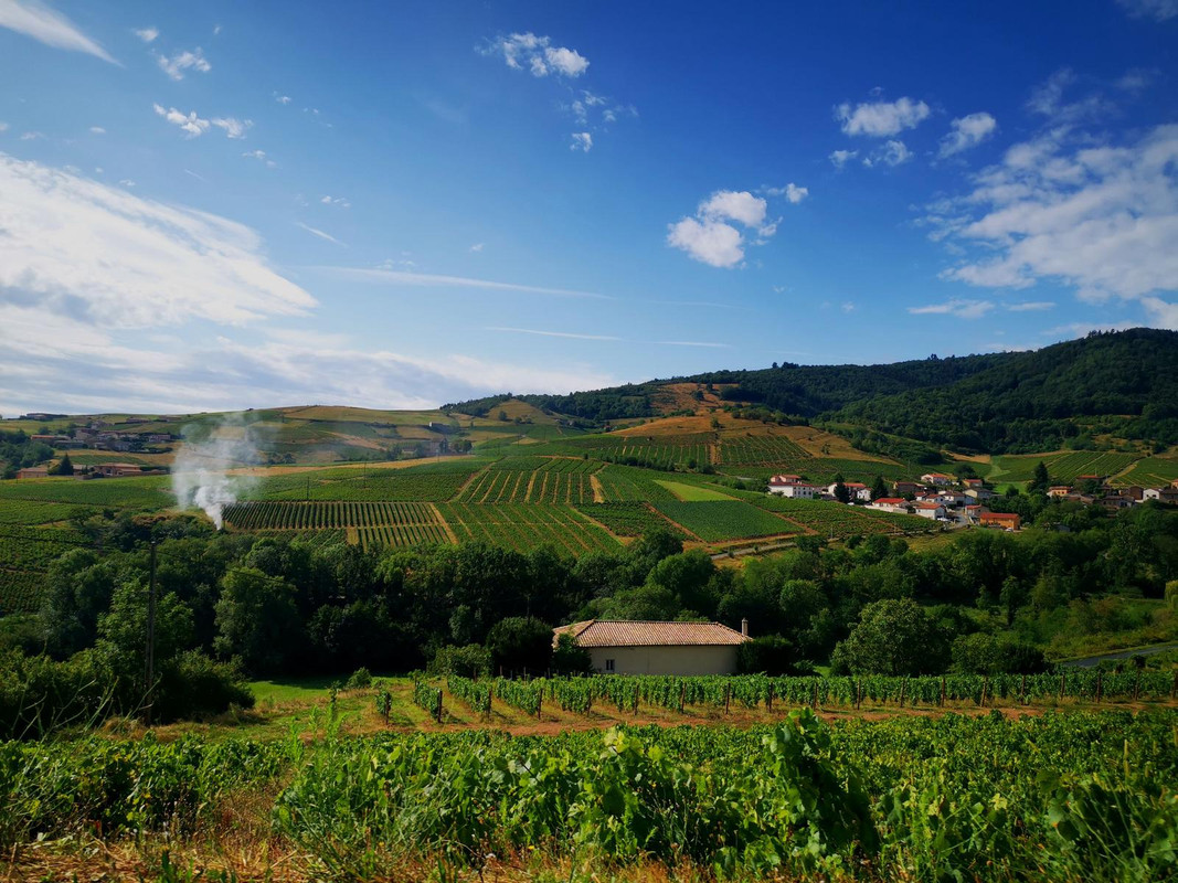 Bourgogne2019 (17).jpg.1