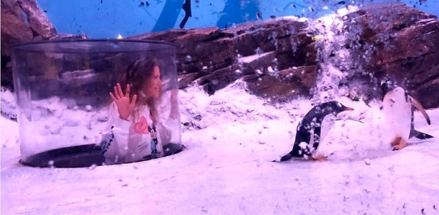 París y Eurodisney con los peques en 2022 - Blogs of France - Acuario Sea Life y más Eurodisney! (3)