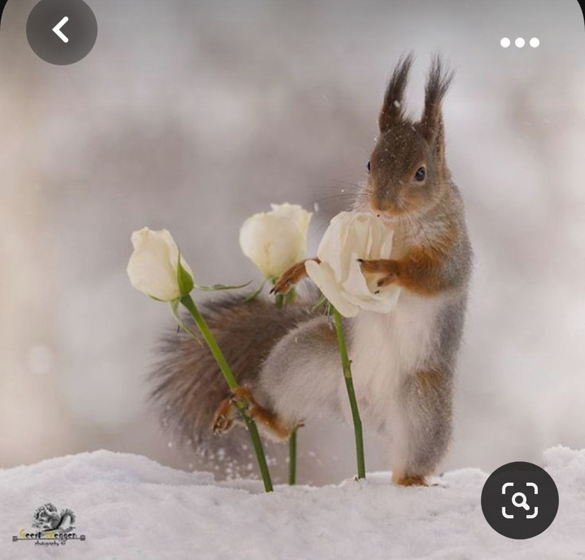 Screenshot_20231101_222154_Pinterest