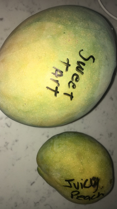 267572E2-F8B4-41C7-B541-41D830505A25