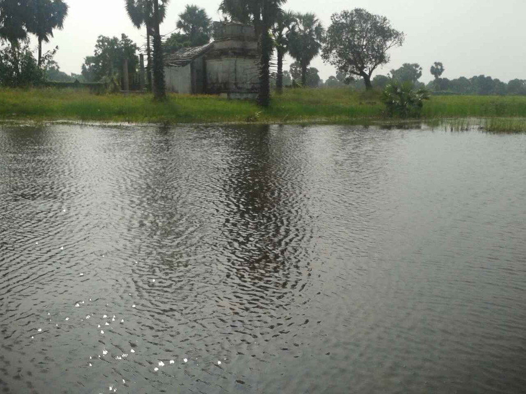 IMG-b6b7424b21c6fa5966d9299b4a2e5cc9-V.j