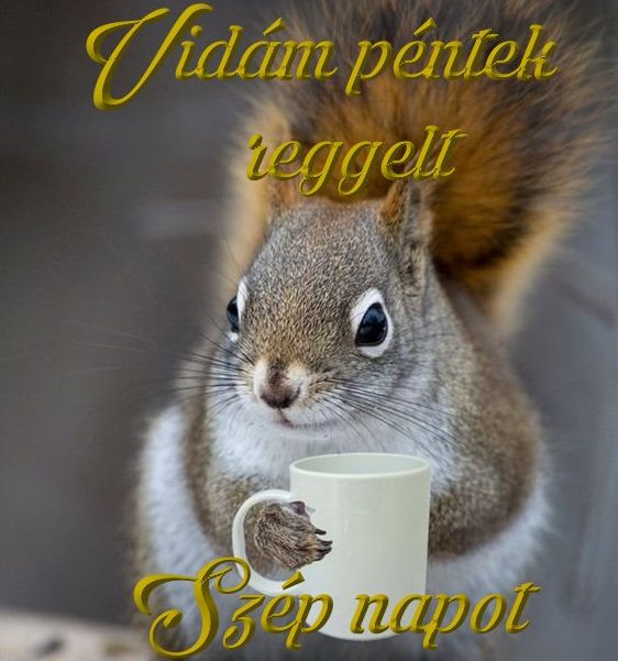 https://i.postimg.cc/ZKBy9nVQ/mokussal-pentek.jpg
