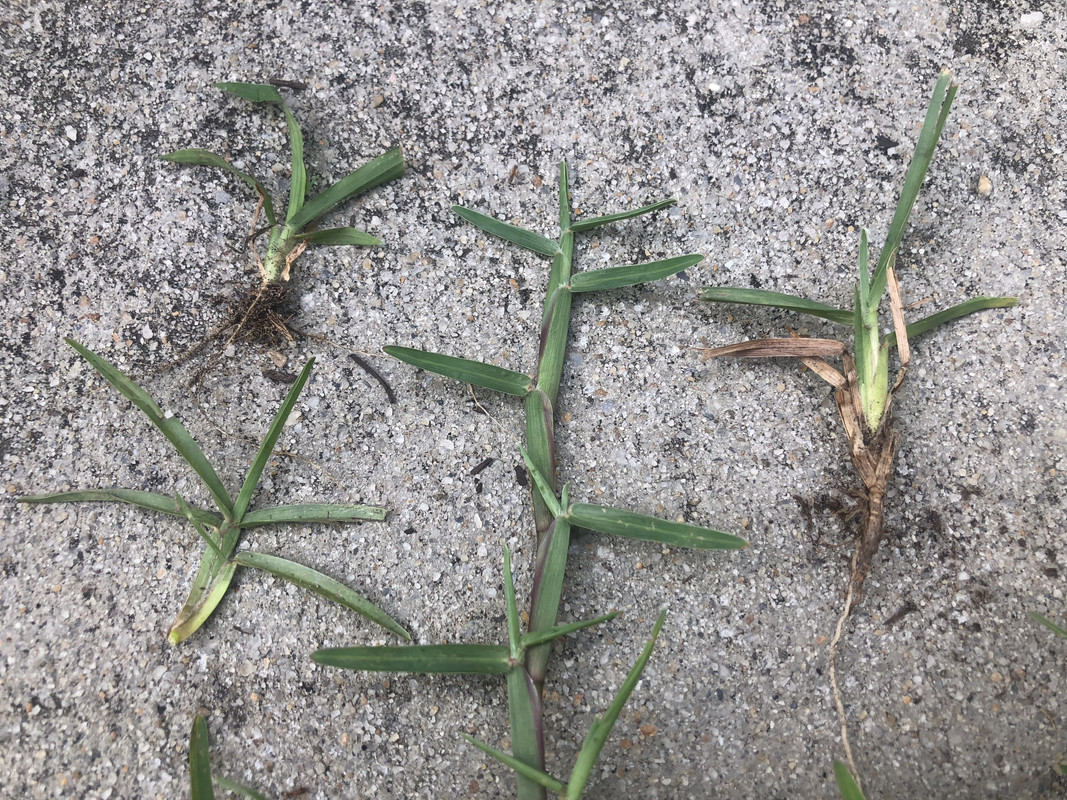 24355D37-26BA-45E5-9C95-10B689215162