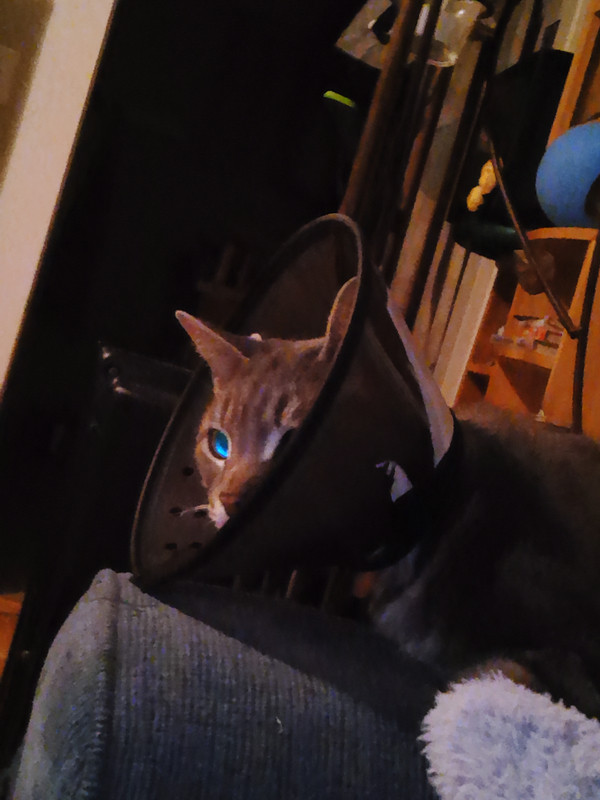 He's so mad at me lmao