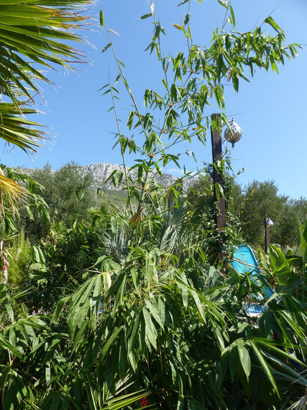 P1240240