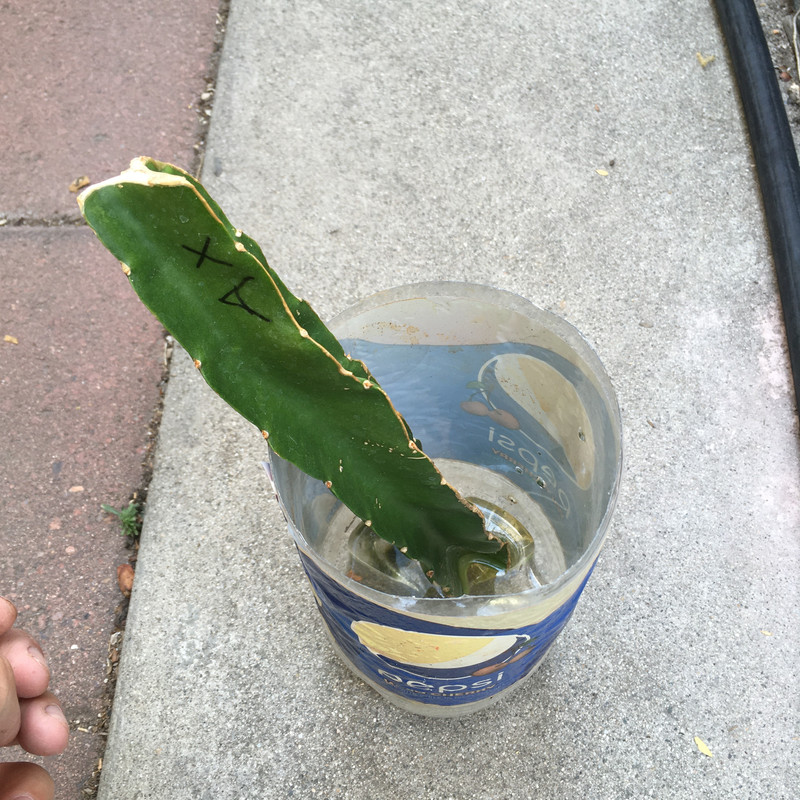 420884F2-1503-4176-B936-219A3A5FE549