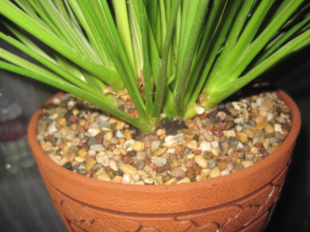 После полива