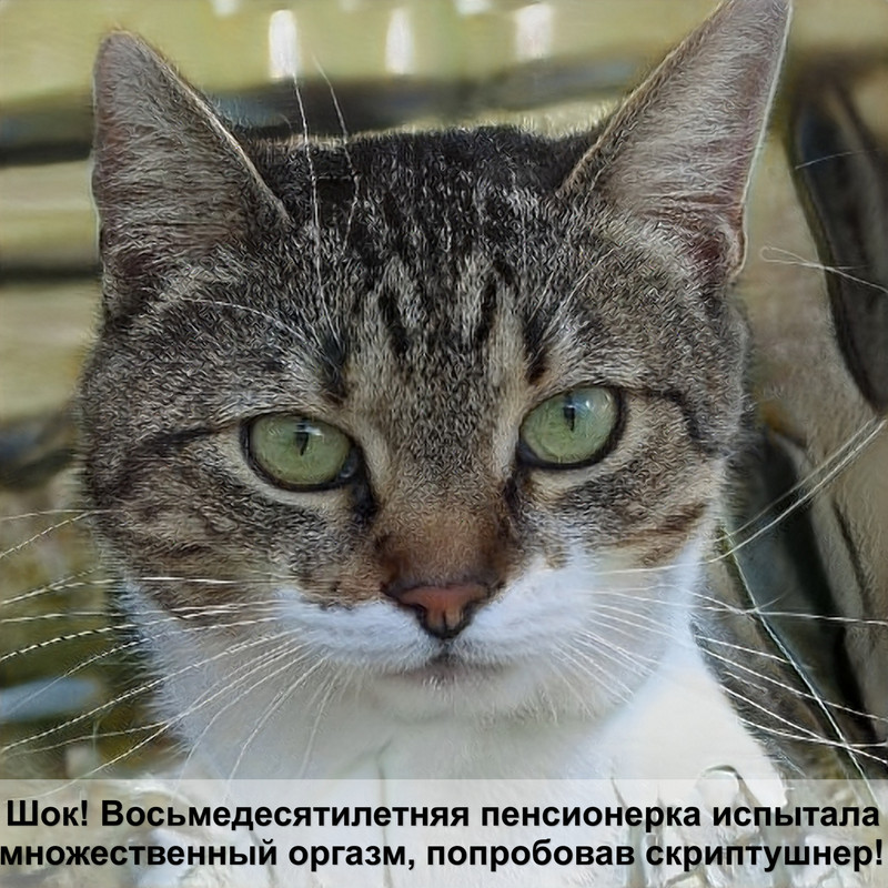 как назвать бенгальскую кошку девочку