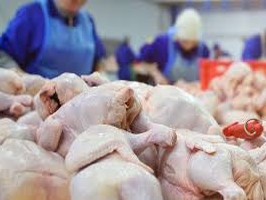 Украина существенно нарастила экспорт отечественной курятины, - аналитики UFEB