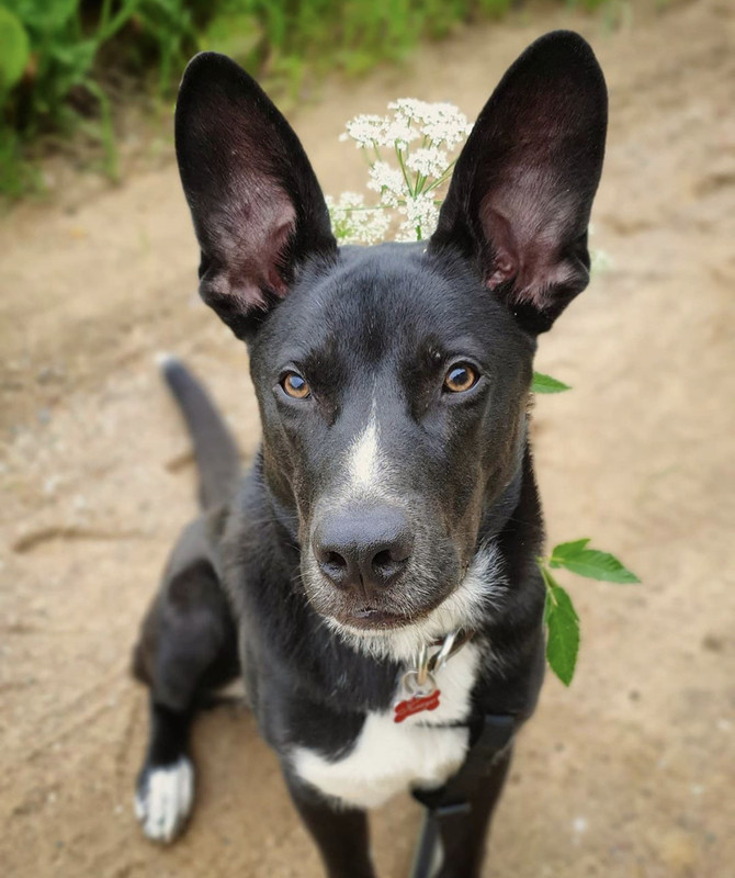 F988822C-E10E-465E-9BF4-5532530DEDB1