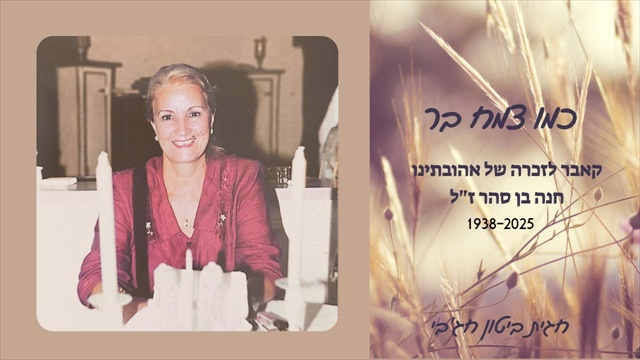 תמונה