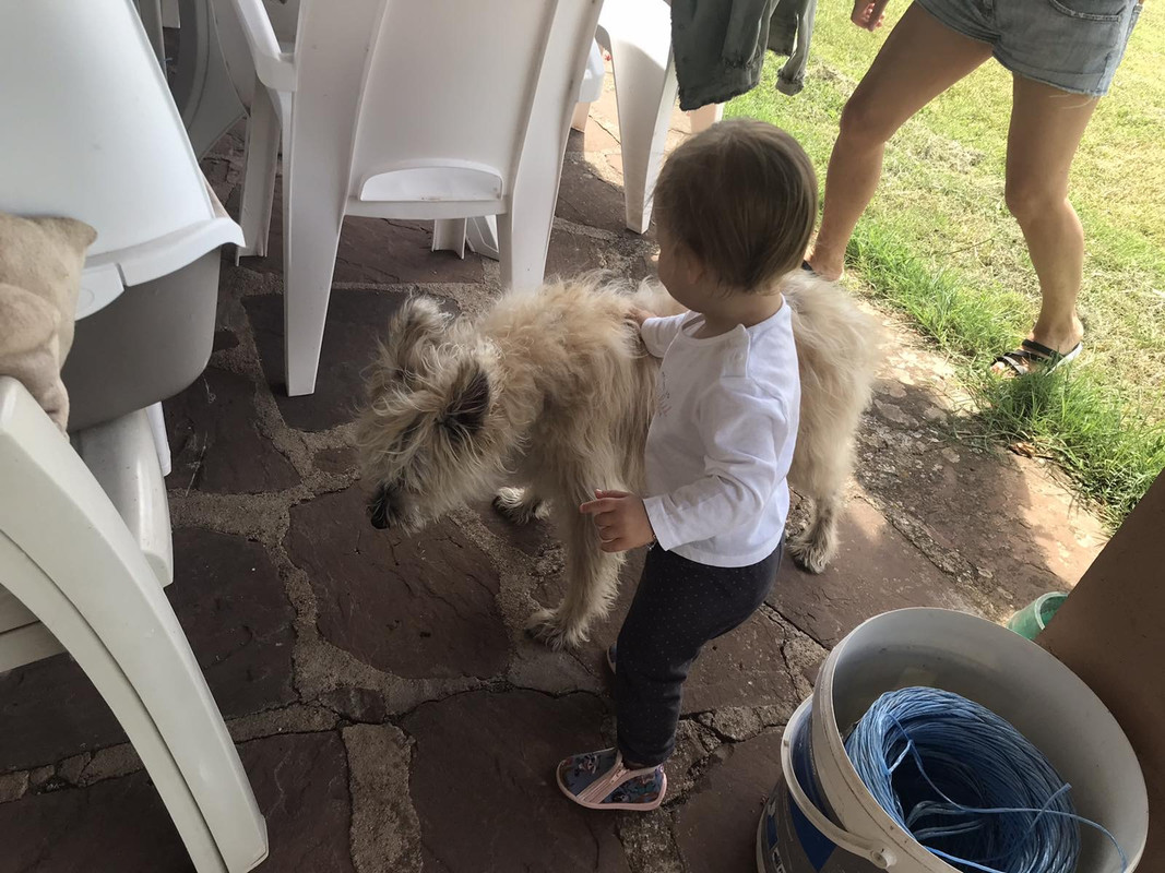 99A8B48D-92ED-4E08-AC2E-929E69A32FE8